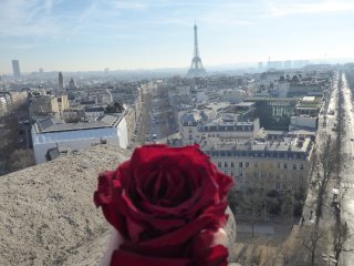 01rosearcdetriomphe.jpg
